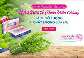 Tiết lộ bất ngờ về Thảo dược lợi sữa Ấn Độ Shatavari gây xôn xao cộng đồng mẹ Ít sữa, Mất sữa