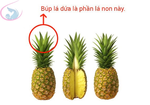 an-canh-bup-dua-non-giup-loi-sua