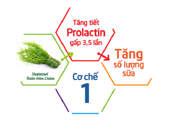 bí kíp chữa mất sữa mẹ hoàn toàn 