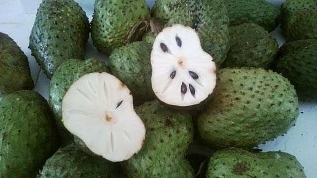 mang-cau-trai-cay-tot-cho-me-sau-sinh
