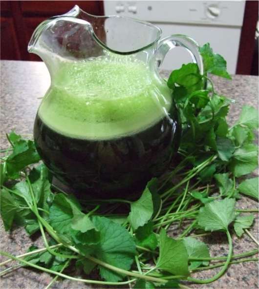 nuoc-rau-ma-loi-sua