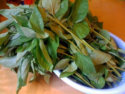 phụ nữ sau sinh nên ăn gì