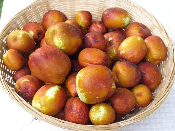 tao-tau-trai-cay-tot-cho-me-sau-sinh