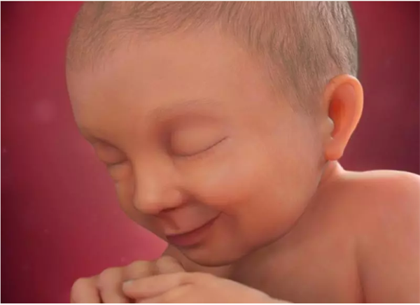 Thai nhi 37 tuần tuổi