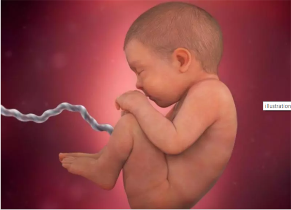 Thai nhi 41 tuần tuổi