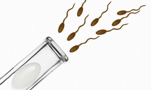 Thụ tinh trong ống nghiệm